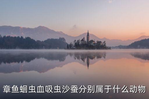 章鱼蛔虫血吸虫沙蚕分别属于什么动物