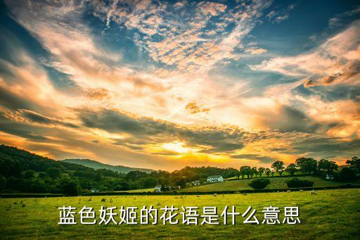 蓝色妖鸡，蓝色妖姬的花语是什么意思