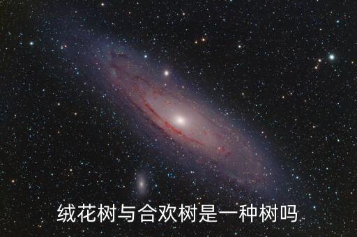 绒花树，花瓣像针一样的植物是什么