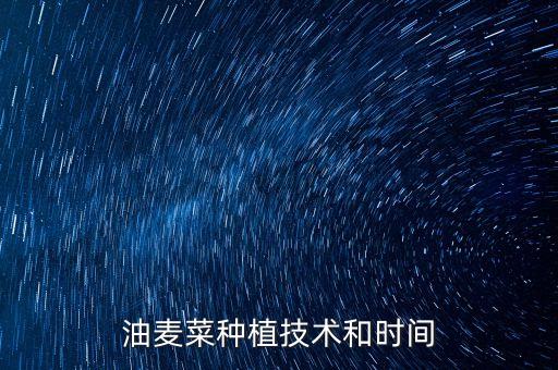 油麦菜种植技术和时间