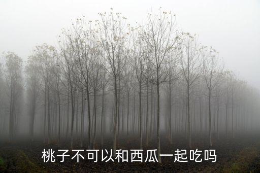西瓜和桃子能一起吃吗，桃子不可以和西瓜一起吃吗