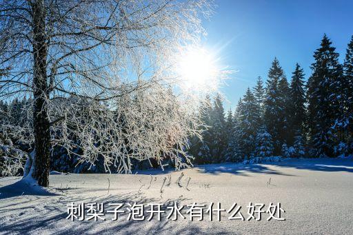 刺梨子泡开水有什么好处