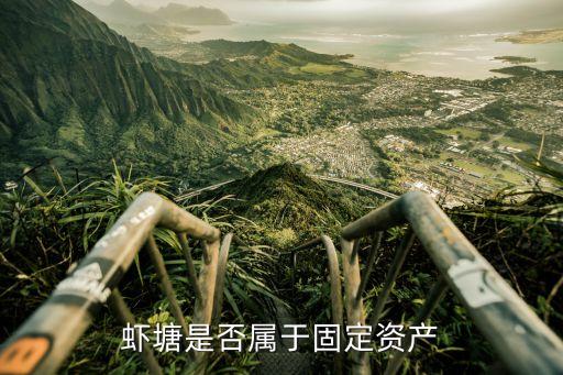 虾塘是否属于固定资产