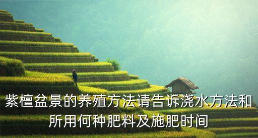 紫檀盆景的养殖方法请告诉浇水方法和所用何种肥料及施肥时间
