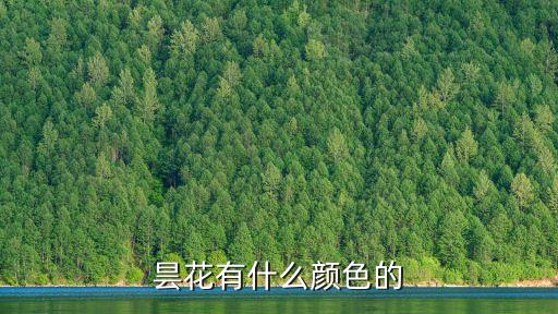 昙花有什么颜色的
