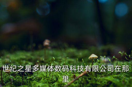 世纪之星，世纪之星多媒体数码科技有限公司在那里