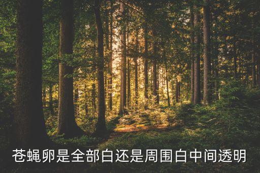 苍蝇卵是全部白还是周围白中间透明