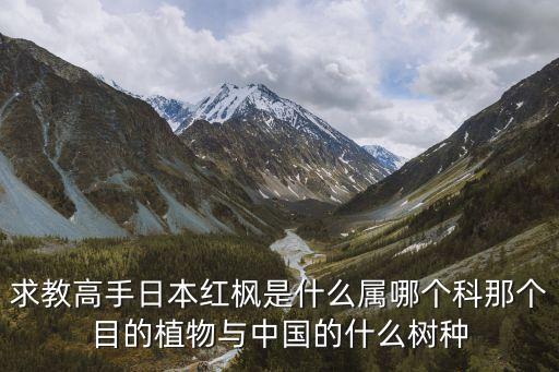日本红枫，日本红枫与美国红枫有什么不同