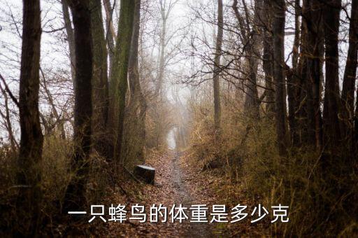 蜂鸟的体重，蜂鸟重多少千克