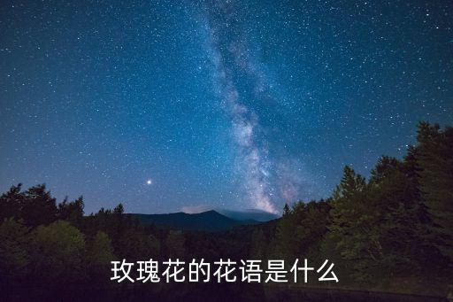 玫瑰花的花语是什么