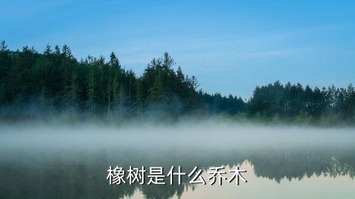 橡树是什么树，橡树是什么