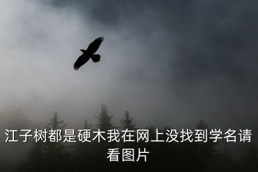 江子树都是硬木我在网上没找到学名请看图片