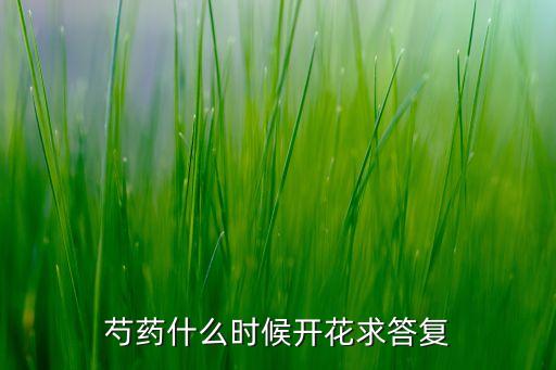 芍药几月开花，芍药花什么时候开