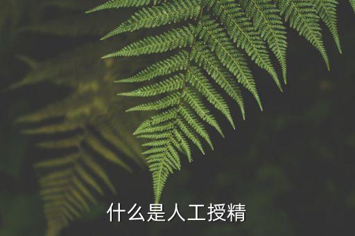 什么是人工授精