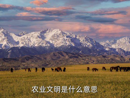 农业文明 英文怎么写，文明这个词用英文怎么写