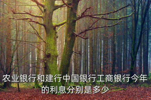农业银行和建行中国银行工商银行今年的利息分别是多少