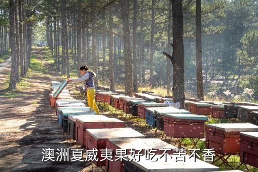 澳洲坚果，澳洲夏威夷果好吃不苦不香