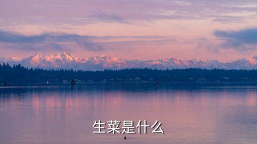 生菜是什么