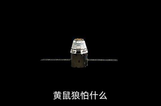 黄鼠狼最怕什么，黄鼠狼怕什么
