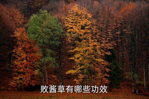 败酱草有哪些功效
