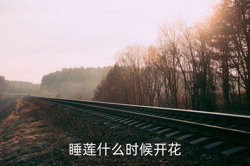 睡莲什么时候开花