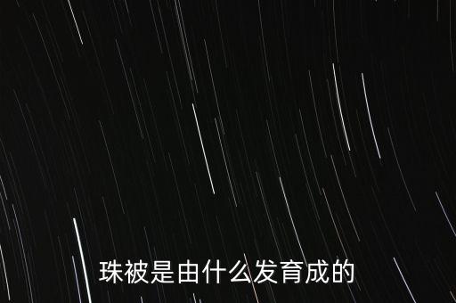 珠被发育成什么，植物的珠心发育成什么受精卵呢