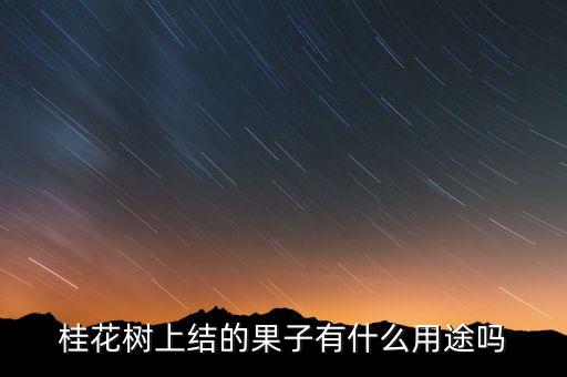 桂花树上结的果子有什么用途吗