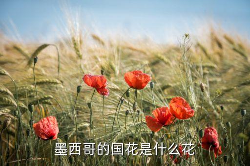墨西哥国花，墨西哥的国花是什么花