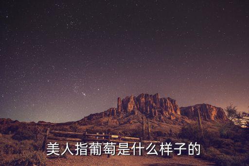 美人指葡萄是什么样子的