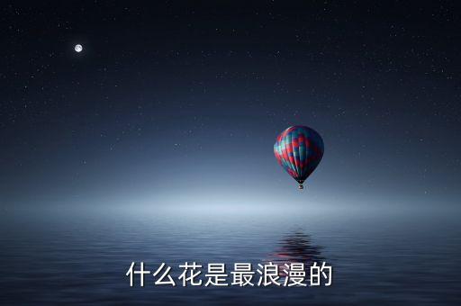 什么花是最浪漫的