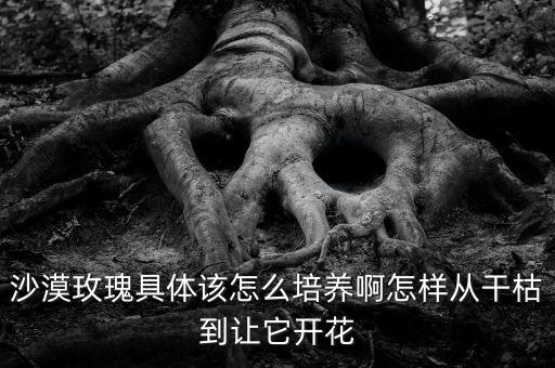 沙漠玫瑰种植方法，沙漠玫瑰的家庭种植要点