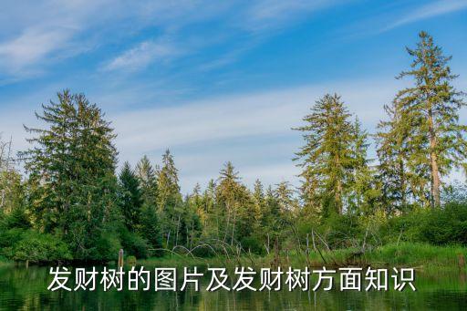 益母草图片大全，薏米植物图片