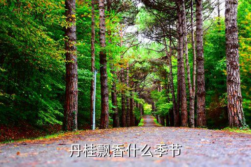 丹桂飘香是什么季节，丹桂飘香什么季节