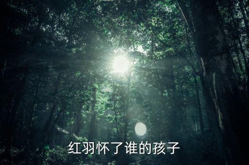红羽怀了谁的孩子