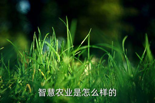智慧农业开发怎么选址，智慧农业应该怎么做
