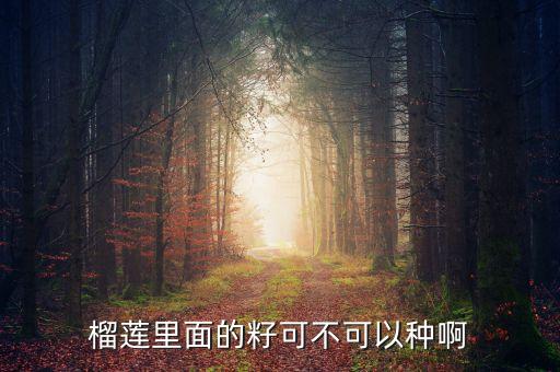 榴莲籽能种吗，榴莲的籽可以种吗