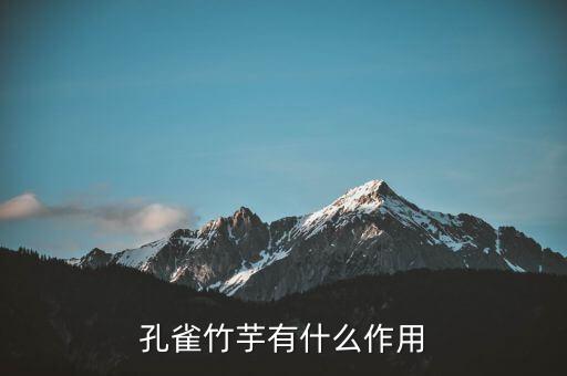 竹芋的功效与作用，孔雀竹芋有什么作用