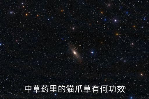 中草药里的猫爪草有何功效