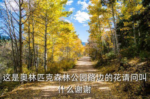 胡枝子，这是奥林匹克森林公园路边的花请问叫什么谢谢