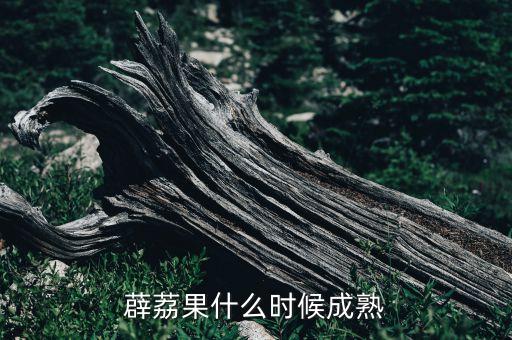 薜荔果什么时候成熟