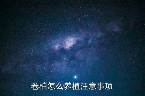 卷柏怎么养植注意事项