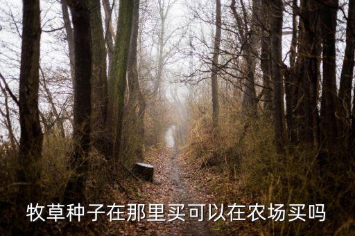 牧草种子在那里买可以在农场买吗