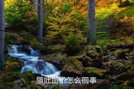猫吐血了怎么回事
