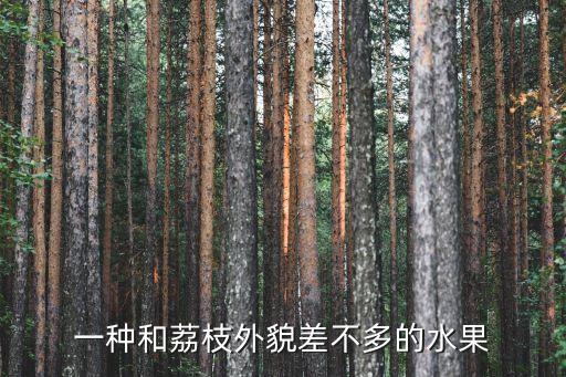 白荔枝，荔枝为什么是白的