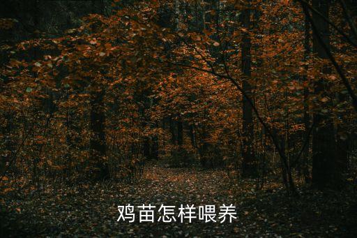 鸡苗怎样喂养