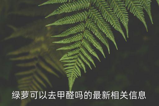 绿萝可以去甲醛吗的最新相关信息