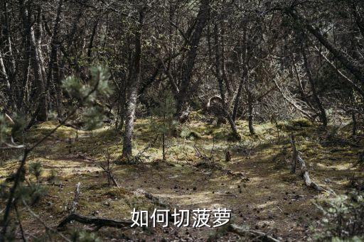 如何切菠萝