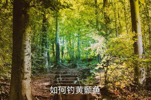 黄骨鱼怎么钓，黄颡鱼怎么钓