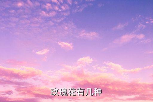玫瑰花品种，玫瑰花的品种有哪些