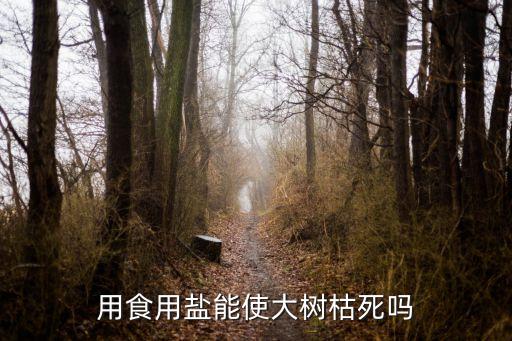 盐能杀死大树吗，盐水能杀死杨树吗